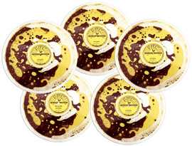 Complete Set of all 5 Elvis 'Sun' 78 RPM 10" Liquid Vinyl 70th Anniversary Special Release 125 Copies only (Elvis Presley)