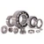 SKF 6005RS Single Row Ball Bearing