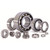 ZKL 6207-2RSC3 Single Row Ball Bearing