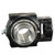 INA PHUSE50XLN Ball Bearing Take Up
