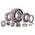 Koyo 6318C3 Single Row Ball Bearing