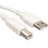 6 Foot USB A to B Printer Cable Beige, 243-006 (CTG-13172)