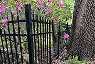 Enhance Your Yard this Spring: Installing an Aluminum Fence