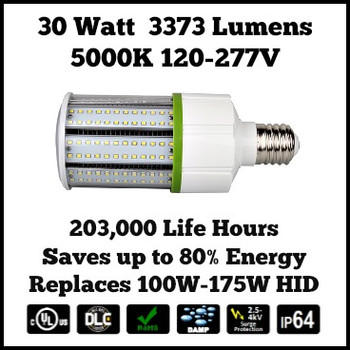 LED Corn Bulb Light - 30 watt 5000K color - Longest Life 180,000 hours LED Corn Bulb Light - 30 watt 5000K color - Longest Life 180,000 hours