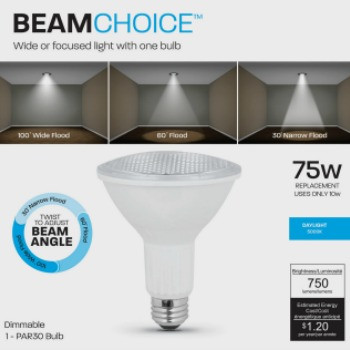 LED PAR30 - 10 watt 5000K Beam Choice - Long 25,000 hours. Directional lighting. Dimmable. 120 volt.