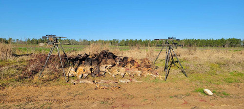 "The Game Chaser" AR-15 Hunting Rifle (6 ARC or 22 ARC)