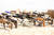 Black Grey Orange Multi-Cam with Inlaid Cerakote logo