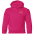 MTE Youth Hoodie