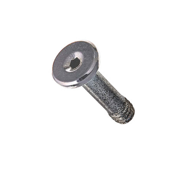 LCN 4840-31L 689 Long Cover Screw, Aluminum Finish
