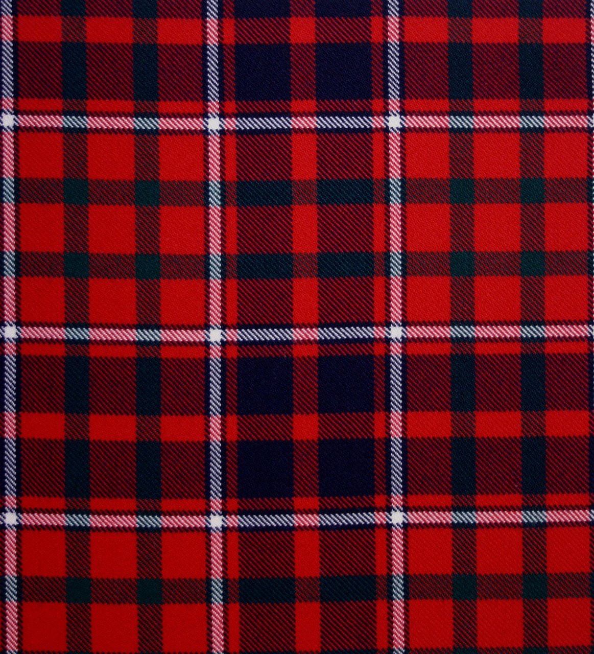 Cameron of Lochiel Modern Tartan Crest Sherpa Hoodie - Circle Style