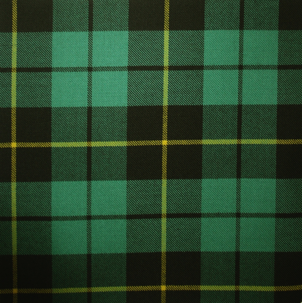 Wallace Hunting Ancient Clan Half Of Tartan Hoodie main image 0