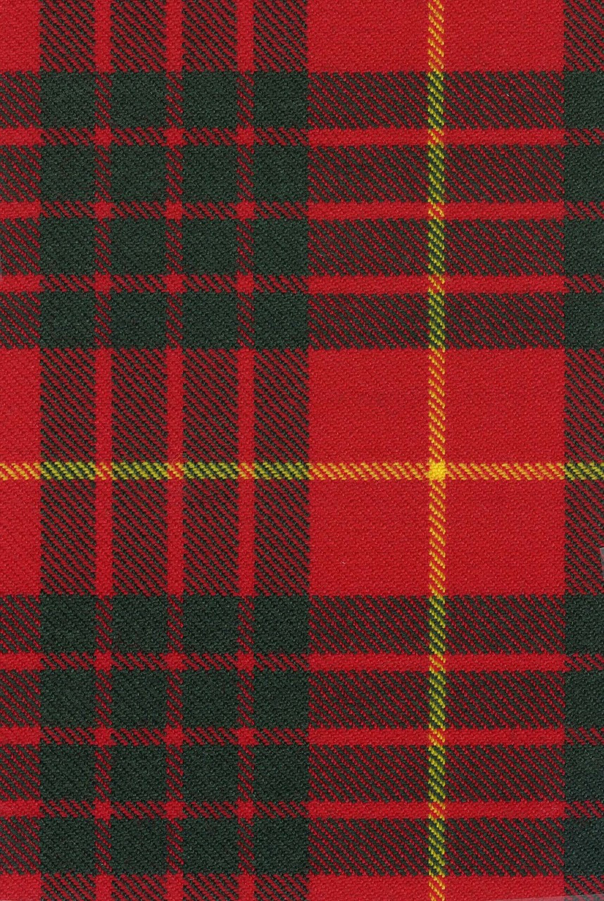 cameron plaid fabric