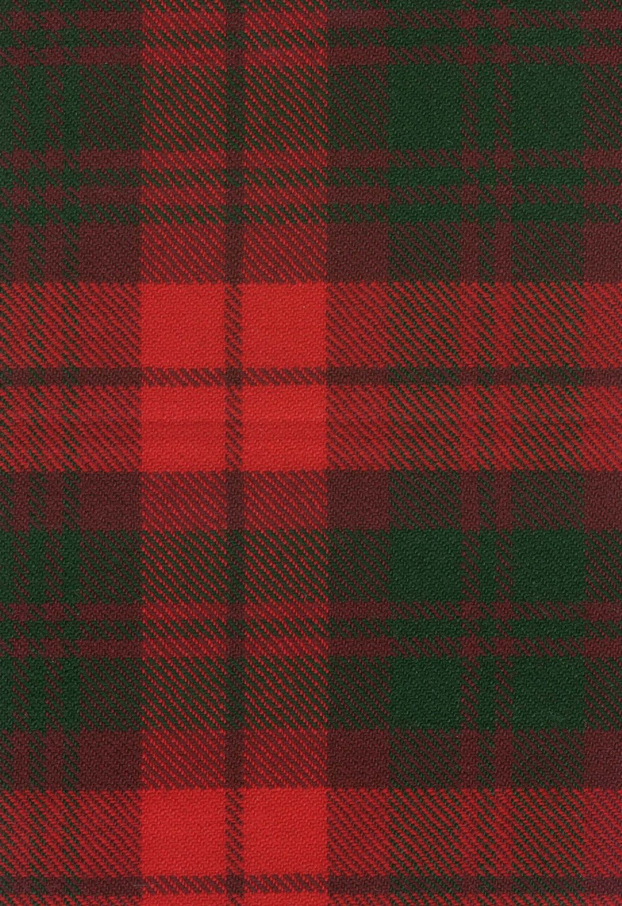 McNab Modern Tartan Crest 2D T-shirt - Alba Skull Style main image 1