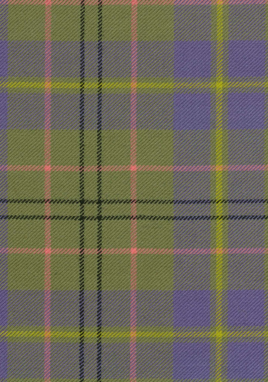 taylor clan tartan fabric