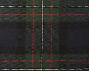 FERGUSON Modern  POLYVISCOSE TARTAN FABRIC