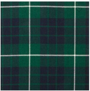 Hamilton Green Modern Fabric Swatch