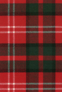 Nisbet Modern Tartan Fabric Swatch