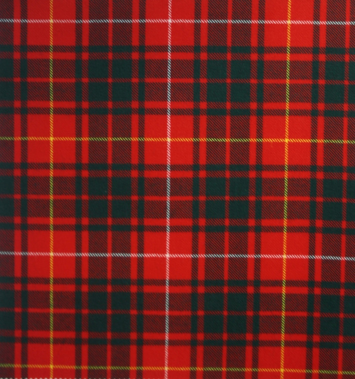 Bruce Modern Tartan Crest Garden Flag