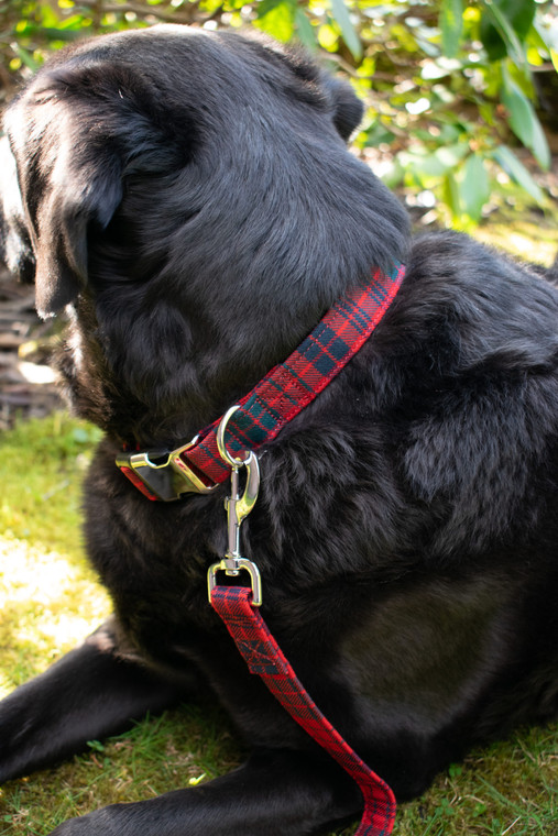 Tartan Dog Collar and Leash Set in the Tartan of your Choice
