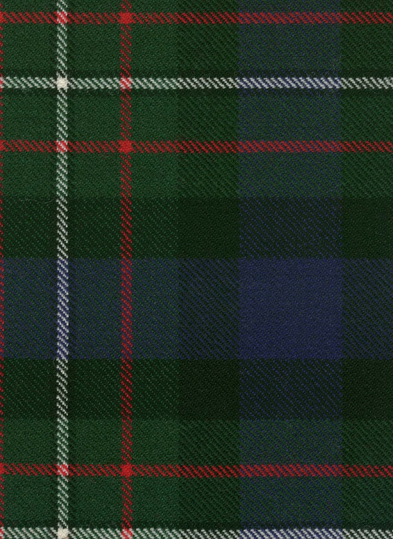 Ferguson Modern Tartan Fabric Swatch