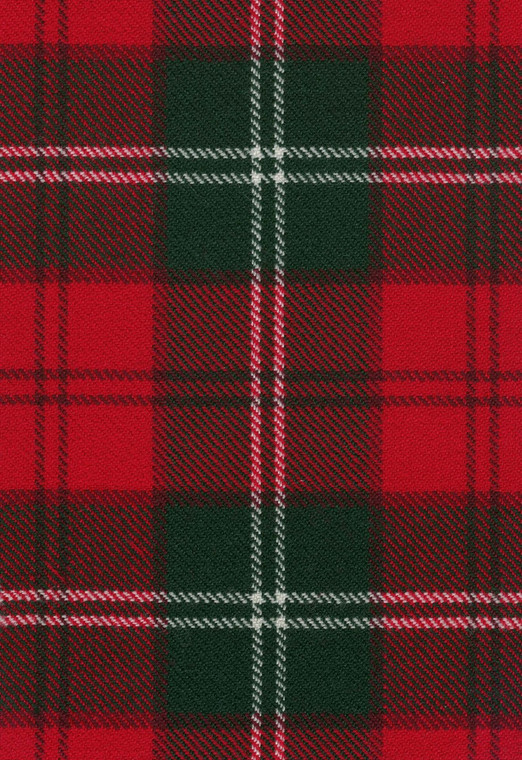 Lennox Modern Tartan Fabric Swatch