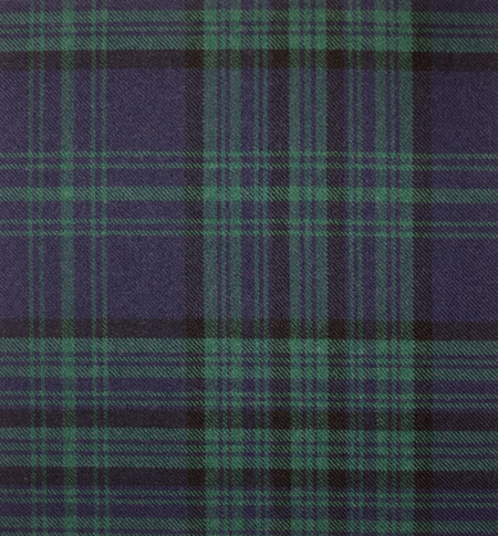 Matheson Modern Tartan Crest 2D T-shirt - Alba Skull Style