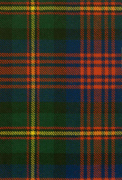 Logan Modern Tartan Fabric Swatch