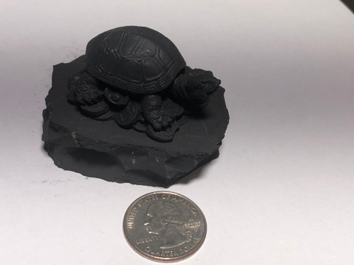 MONEY TURTLE,  RESTORED SHUNGITE