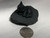 KITTEN,  RESTORED SHUNGITE