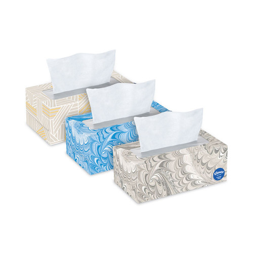 Trusted Care Facial Tissue, 2-Ply, White, 160 Sheets/Box, 3 Boxes/Pack, 4 Packs/Carton [SKU: KCC54303]