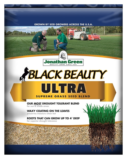 Jonathan Green Black Beauty 10320 Grass Seed, 1 lb Bag [SKU: ORG4250445]