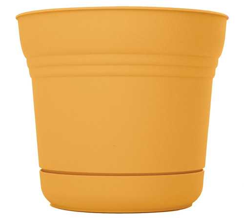 Bloem SP0523 Planter, 5 in Dia, 5 in W, Saturn Design, Earthy Yellow, Matte [SKU: ORG4694279]