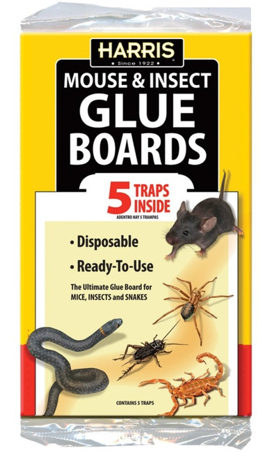 HARRIS GB-5 Glue Board [SKU: ORG0841502]