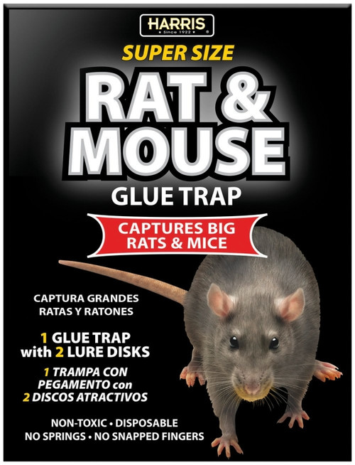 HARRIS BLKRAT-1 Rat and Mouse Glue Trap [SKU: ORG0841478]