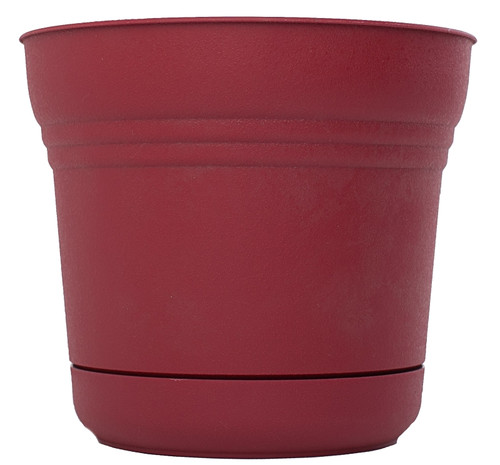 Bloem Saturn SP0512 Planter, 4-1/2 in W, Polypropylene, Union Red [SKU: ORG4691390]
