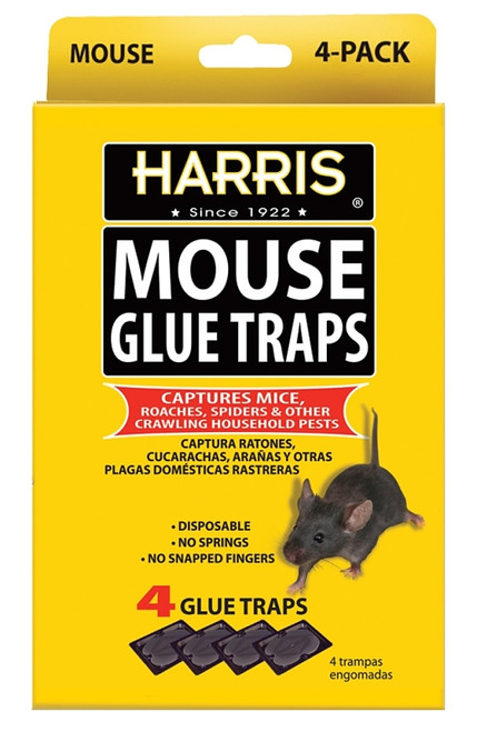 HARRIS HMG-4 Mouse Glue Trap [SKU: ORG7886427]