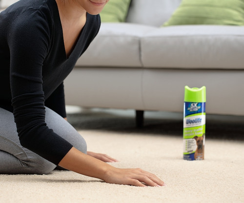 BISSELL 0820 Carpet Cleaner, 22 oz Can, Foam, Characteristic [SKU: ORG6400972]