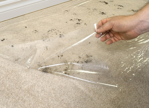 SURFACE SHIELDS CS24500 Carpet Shield, 500 ft L, 24 in W, 2.5 mil Thick, Polyethylene, Clear [SKU: ORG6644710]