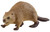 Schleich-S Wild Life 14855 Animal Toy, 3 to 8 Years, Beaver [SKU: ORG7449929]