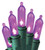 Hometown Holidays U10E406H Light Set, Christmas, 120 V, 4.8 W, 50-Lamp, LED Lamp, Purple Lamp, 13.58 ft L [SKU: ORG5955901]