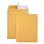 Redi-Strip Catalog Envelope, #10 1/2, Cheese Blade Flap, Redi-Strip Adhesive Closure, 9 x 12, Brown Kraft, 100/Box [SKU: QUA44562]