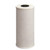 Culligan RFC-BBSA Filter Cartridge, 25 um Filter, Coconut Shell GAC Filter Media [SKU: ORG5307418]
