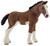 Schleich-S 13810 Figurine, 3 to 8 years, Clydesdale Foal, Plastic [SKU: ORG7215460]