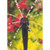 Raindrip 15600UB Stream Spray Bubbler, Adjustable, Black [SKU: ORG5546478]
