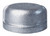 ProSource 18-2G Pipe Cap, 2 in, Threaded [SKU: ORG6102347]