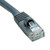 CAT5e 350 MHz Molded Patch Cable, 100 ft, Gray [SKU: TRPN002100GY]