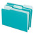 Interior File Folders, 1/3-Cut Tabs: Assorted, Letter Size, Aqua, 100/Box [SKU: PFX421013AQU]