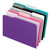 Interior File Folders, 1/3-Cut Tabs: Assorted, Letter Size, Assorted Colors: Aqua/Black/Gray/Pink/Violet, 100/Box [SKU: PFX421013ASST2]