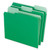 Interior File Folders, 1/3-Cut Tabs: Assorted, Letter Size, Bright Green, 100/Box [SKU: PFX421013BGR]