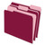 Interior File Folders, 1/3-Cut Tabs: Assorted, Letter Size, Burgundy, 100/Box [SKU: PFX421013BUR]